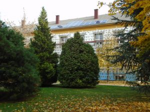 Vak Bottyán Általános Iskola - Napelemes rendszere